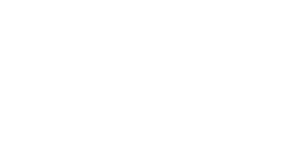 Logo der Küchenmarke BORA